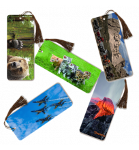 BOOKMARK