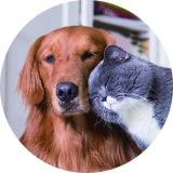PETS