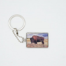 3DPhotoCase Naked Eye 3D Kirksite Keychain: Wood Badge Buffalo Patrol