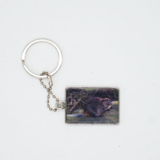 3DPhotoCase Naked Eye 3D Kirksite Keychain: Wood Badge Beaver Patrol