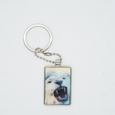 3DPhotoCase Naked Eye 3D Kirksite Keychain: Roaring Lion 3DPhotoCase Naked Eye 3D Kirksite Keychain: Roaring Lion