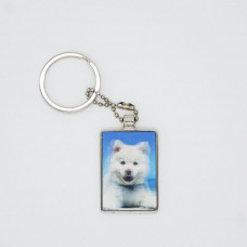 3DPhotoCase Naked Eye 3D Kirksite Keychain: White Puppy on Beach 3DPhotoCase Naked Eye 3D Kirksite Keychain: White Puppy on Beach