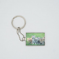 3DPhotoCase Naked Eye 3D Kirksite Keychain: Curious Little Cats